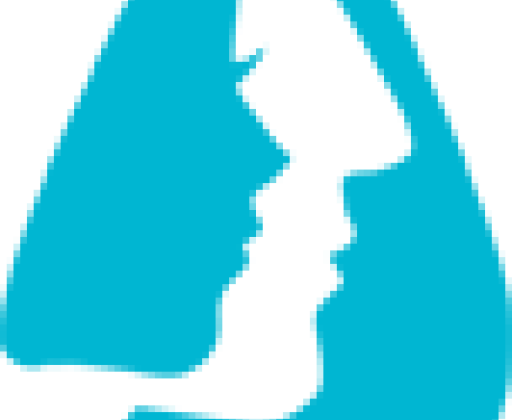 Delphine Declays Logo