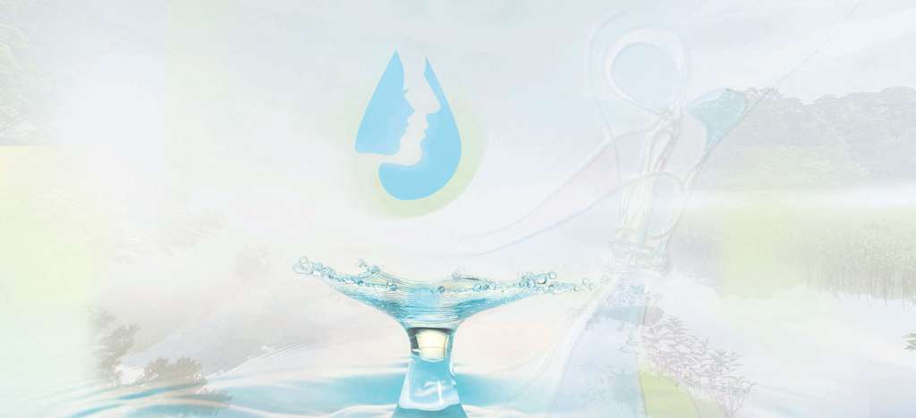 Delphine Desclais Logo